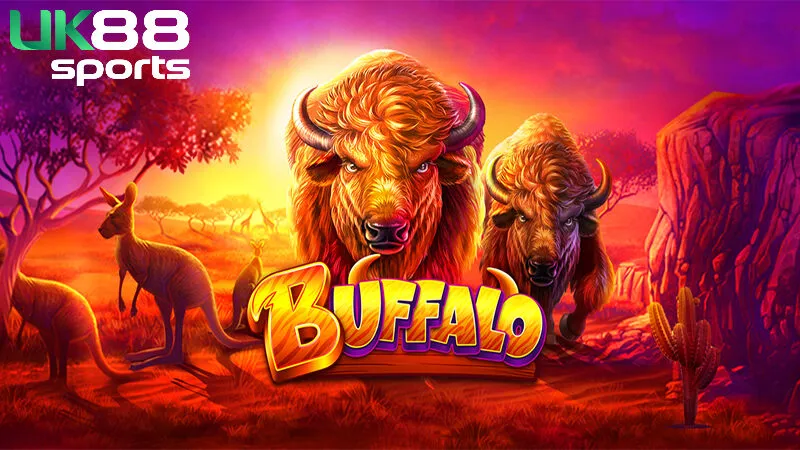 Buffalo Fire Uk88